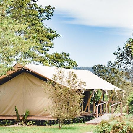 Silk Pavilions Glamping Mount Burrell Экстерьер фото
