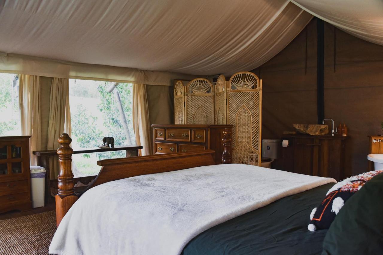 Silk Pavilions Glamping Mount Burrell Экстерьер фото