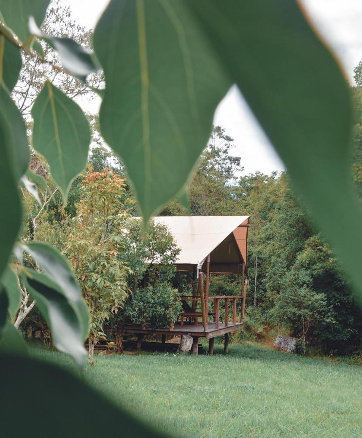 Silk Pavilions Glamping Mount Burrell Экстерьер фото