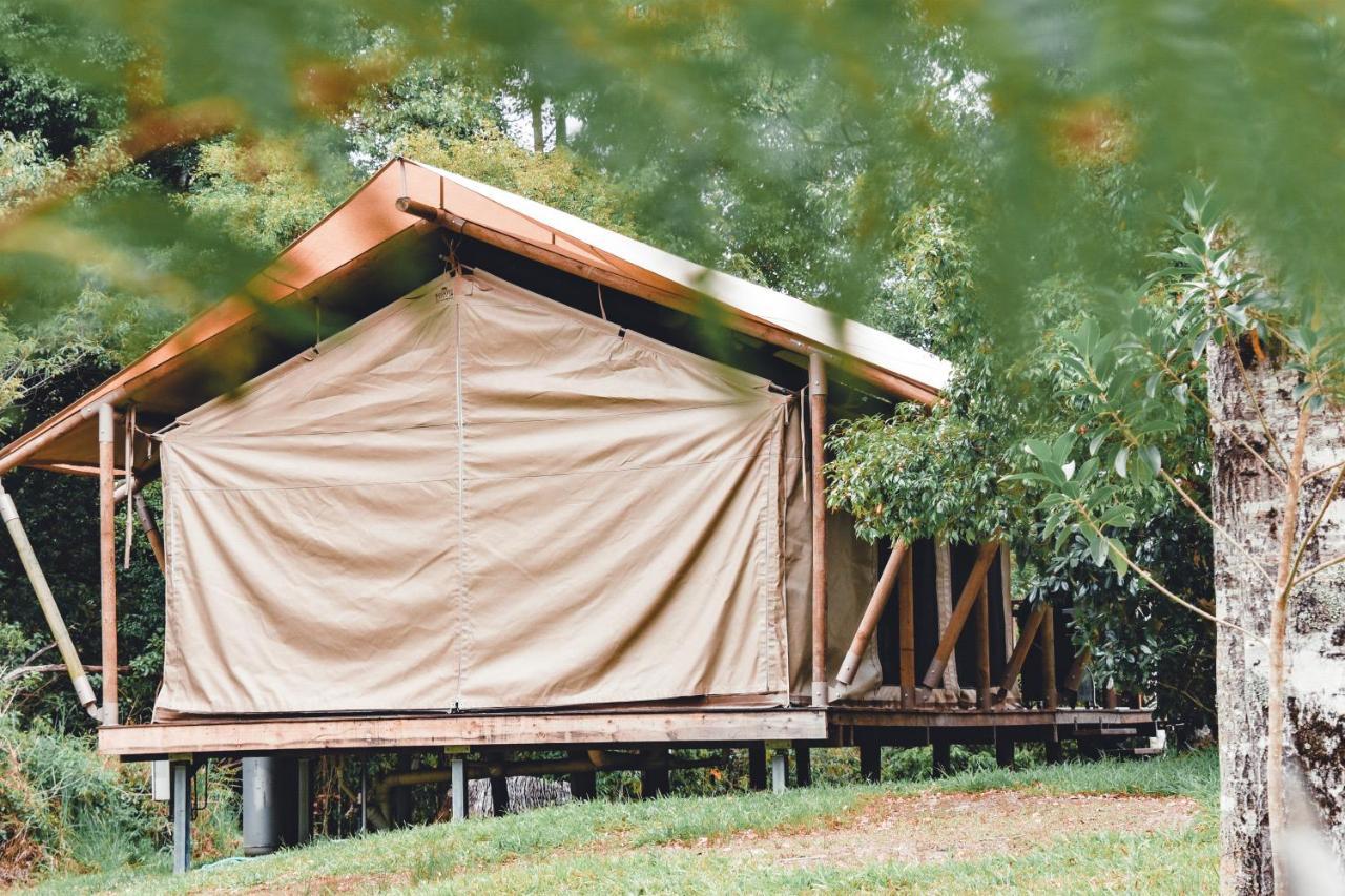 Silk Pavilions Glamping Mount Burrell Экстерьер фото