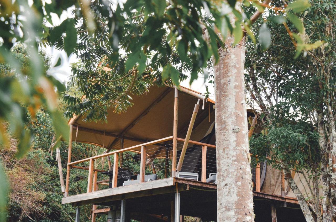 Silk Pavilions Glamping Mount Burrell Экстерьер фото
